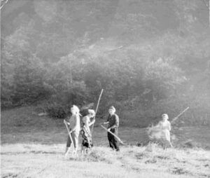Dones fent herba a les bordes de la Ribera d'Isil