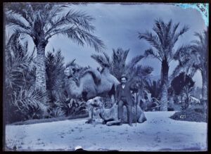 Lluís Martí-Codolar i Gelabert amb dos camells, als jardins de la Granja Vella de Martí-Codolar