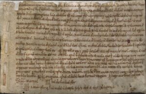 Engòncia ven al prevere Aitó una peça de terra i una vinya que té per herència en el comtat de Girona, en la parròquia de Sant Martí [d'Arenys] (954, octubre, 29)