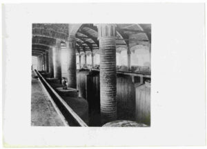 Sindicat de vinicultors de Sarral (Tarragona). Vista interior de la bodega cooperativa.