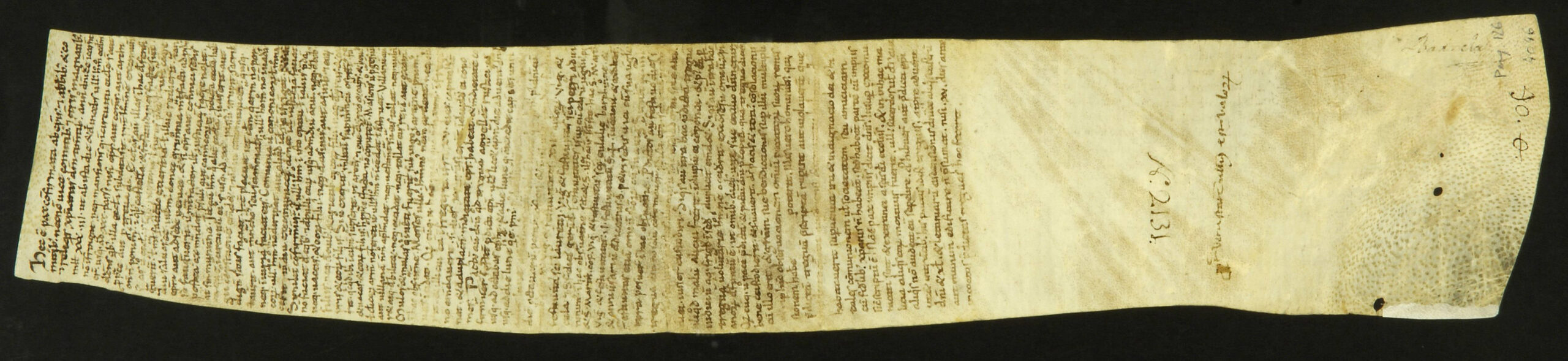 Constitutions de paix et de trêve de Dieu promulguées par le synode de Vic. Copie de la seconde moitié du XIe siècle.